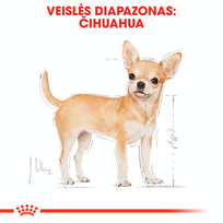 royal canin chihuahua adult - Royal Canin Chihuahua Adult 0,5 kg - 3 nuotrauka
