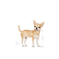 royal canin chihuahua adult - Royal Canin Chihuahua Adult 0,5 kg - 7 nuotrauka