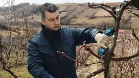 akumuliatorinis sekatorius - Bosch 12V 25mm PRO PRUNER - 2 nuotrauka