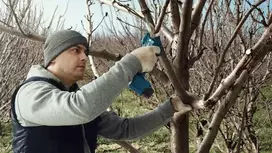 akumuliatorinis sekatorius - Bosch 12V 25mm PRO PRUNER - 5 nuotrauka