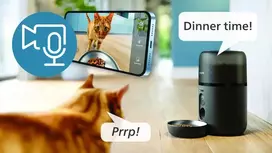 serykla - Philips 5000 Series PAW5320/02, Juoda (Black) - 3 nuotrauka