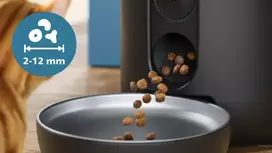 serykla - Philips 5000 Series PAW5320/02, Juoda (Black) - 6 nuotrauka