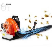 Vevor QS25Q79BF