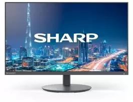 Sharp MultiSync DD-E224F 22" Black