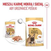 royal canin french bulldog - Royal Canin French Bulldog Adult Digestive Health Loaf 12x85g - 2 nuotrauka