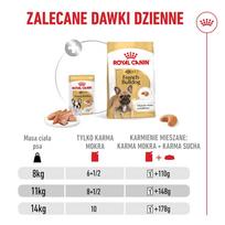 royal canin french bulldog - Royal Canin French Bulldog Adult Digestive Health Loaf 12x85g - 6 nuotrauka