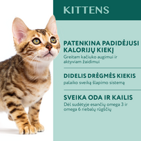 optimeal sausas - OPTIMEAL Visavertis konservuotas ėdalas kačiukams su vištiena 85g x 12 vnt - 3 nuotrauka