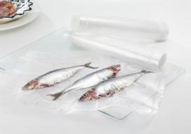 vacuum sealer - FoodSaver FSR2802 - 2 nuotrauka