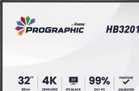 iiyama 31 5 - iiyama ProGraphic HB3201UHSNP-B1 31.5", IPS, 4K UHD, USB-C, juodas (black) - 6 nuotrauka