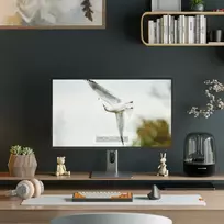 32 inch monitor ips - ALOGIC Clarity Max 32" UHD 4K Monitorius su 65W PD - 2 nuotrauka