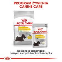 royal canin dermacomfort 3kg - ROYAL CANIN Mini Dermacomfort 3 kg - 2 nuotrauka
