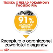 royal canin dermacomfort 3kg - ROYAL CANIN Mini Dermacomfort 3 kg - 4 nuotrauka