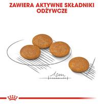 royal canin dermacomfort 3kg - ROYAL CANIN Mini Dermacomfort 3 kg - 5 nuotrauka