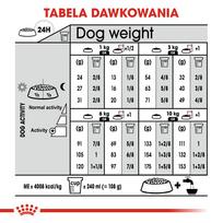 royal canin dermacomfort 3kg - ROYAL CANIN Mini Dermacomfort 3 kg - 7 nuotrauka