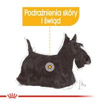 royal canin dermacomfort 3kg - ROYAL CANIN Mini Dermacomfort 3 kg - 8 nuotrauka
