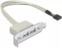 usb a to female usb a - Delock Adapter Bracket USB 9pin to USB x2 Grey 0.50m - 2 nuotrauka