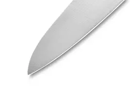 samuro peilis - Samura PRO-S Chef virtuvinis peilis 240 mm - 3 nuotrauka