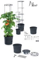 pomidorai - Prosperplast Tomato Grower IPOM300-S433, plastikinis, 295 mm, Ø 295 mm x 295 mm, juodas - 3 nuotrauka