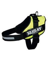 Trixie petnešos Julius-K9 Idc, mini-min i /S 40–53 cm, geltonos