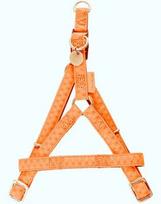 Zolux reguliuojamos petnešos Mac Leather 20 mm oranžinės