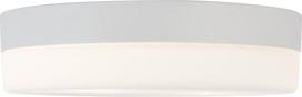 lubinis lubu sviestuva - Lubinis lauko šviestuvas TK Lighting Pori, 15W, E27, IP20, baltas, 29 cm x 9 cm - 2 nuotrauka