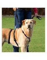 sunu apsauga - Trixie petnešos Stay S-M 40–65 cm / 15 mm - 1 nuotrauka