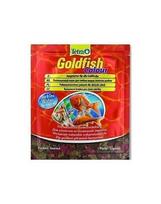 Tetra Goldfish Colour