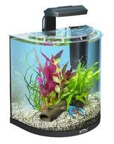 Tetra AquaArt Explorer Line 30 l Goldfish
