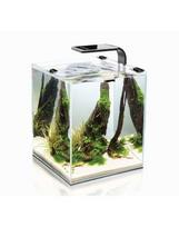 AQUAEL akvariumas Shrimp 20 (250X250X300)