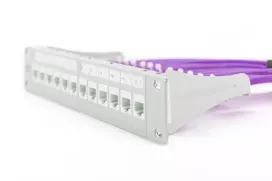 cat6 100m - Digitus CAT 6 UTP Cable Violet 100m - 4 nuotrauka