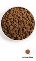 sunu maistas orijen - Orijen Original Dog 6 kg - 2 nuotrauka