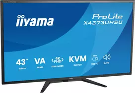 43 4k - iiyama ProLite X4373UHSU-B2 42.5", VA, 4K UHD, 60Hz - 8 nuotrauka