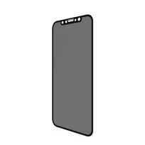 apsauginis stiklas iphone 11 - PanzerGlass Screen Protectort For Apple iPhone XR/11 Privacy - 4 nuotrauka