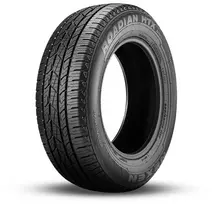 padangos 255 - Nexen Roadian HTX RH5 255/70 R18 113T 4PR - 3 nuotrauka
