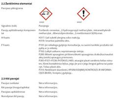fischer - Fischer Cheminis ankeris FIP C 300T, 300 ml - 2 nuotrauka