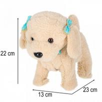 interaktyvus zaislas - Ikonka iko-KX3027 Interaktyvus šuo su pavadėliu Pudelis (Poodle) - 3 nuotrauka