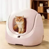 CATLINK BayMax Scooper SE Rožinis (Pink)