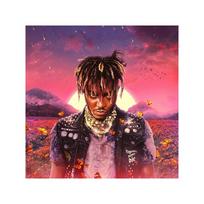 JUICE WRLD: LEGENDS NEVER DIE 2LP
