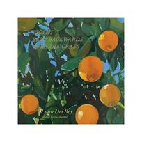 Del Rey Lana: Violet Bent Backwards Over The Grass LP