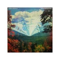 TAME IMPALA: INNERSPEAKER 2LP