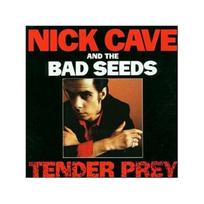 CAVE NICK - BAD SEEDS: TENDER PREY LP