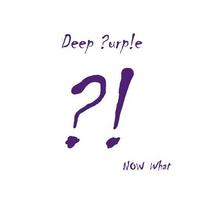 DEEP PURPLE: NOW WHAT 2LP