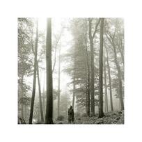 SWIFT TAYLOR: FOLKLORE CD