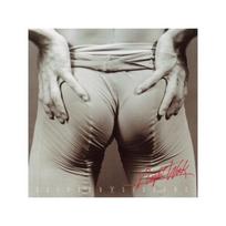 SCISSOR SISTERS: NIGHT WORK CD