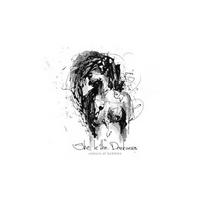 COLOURS OF BUBBLES: SHE IS THE DARKNESS CD