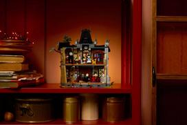 rumun - LEGO ICONS 11383 Mero rūmai - 2 nuotrauka