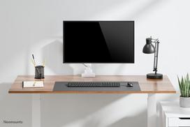 monitoriu laikiklis baltas - NEOMOUNTS BY NEWSTAR DS70-450WH1 FULL MOTION MONITOR DESK MOUNT FOR 17-42" SCREENS - WHITE - 9 nuotrauka