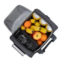 termo saltkrepsis - RESTO COOLER BAG/14L 5514 - 4 nuotrauka