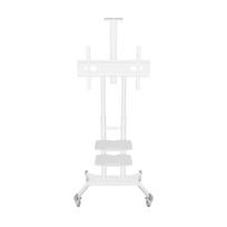 mobilus tv stovas - TV SET ACC MOBILE STAND/50-86"/WHITE TS1881-W ONKRON - 2 nuotrauka