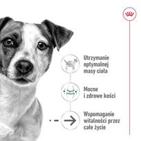 royal canin shn - Šlapias šunų maistas Royal Canin SHN MINI ADULT WET, kalakutiena, 12 x 85 g - 4 nuotrauka
